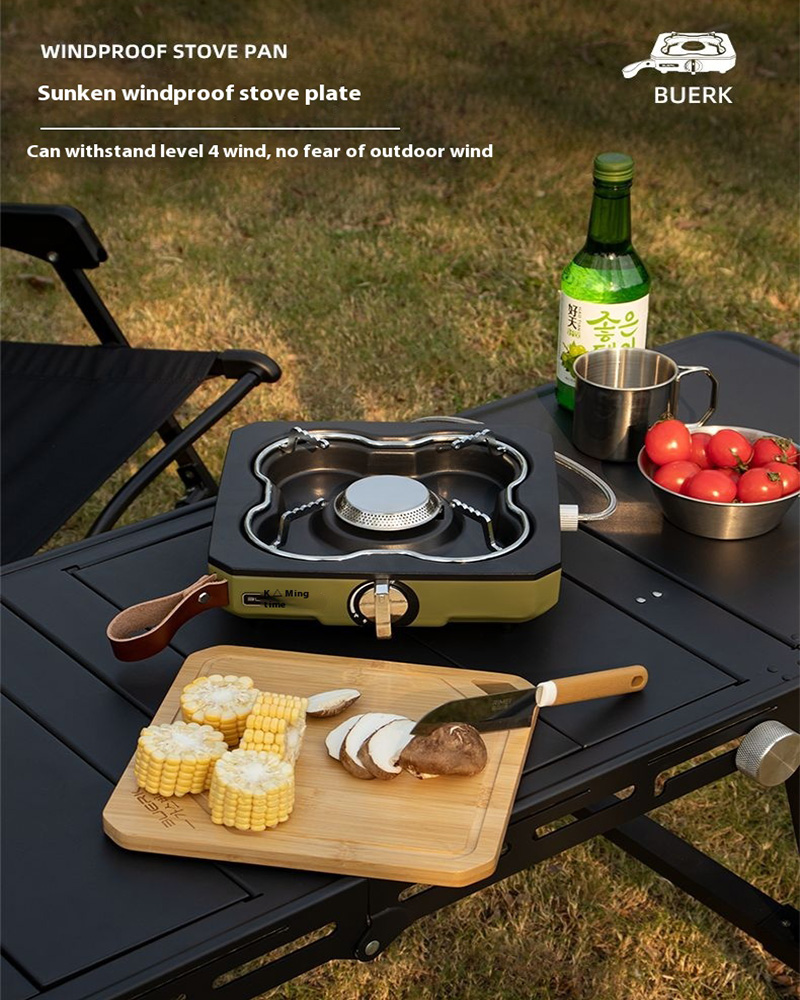 Buerk Desktop Outdoor Gas Stov - Camping Cooking Propane review and price